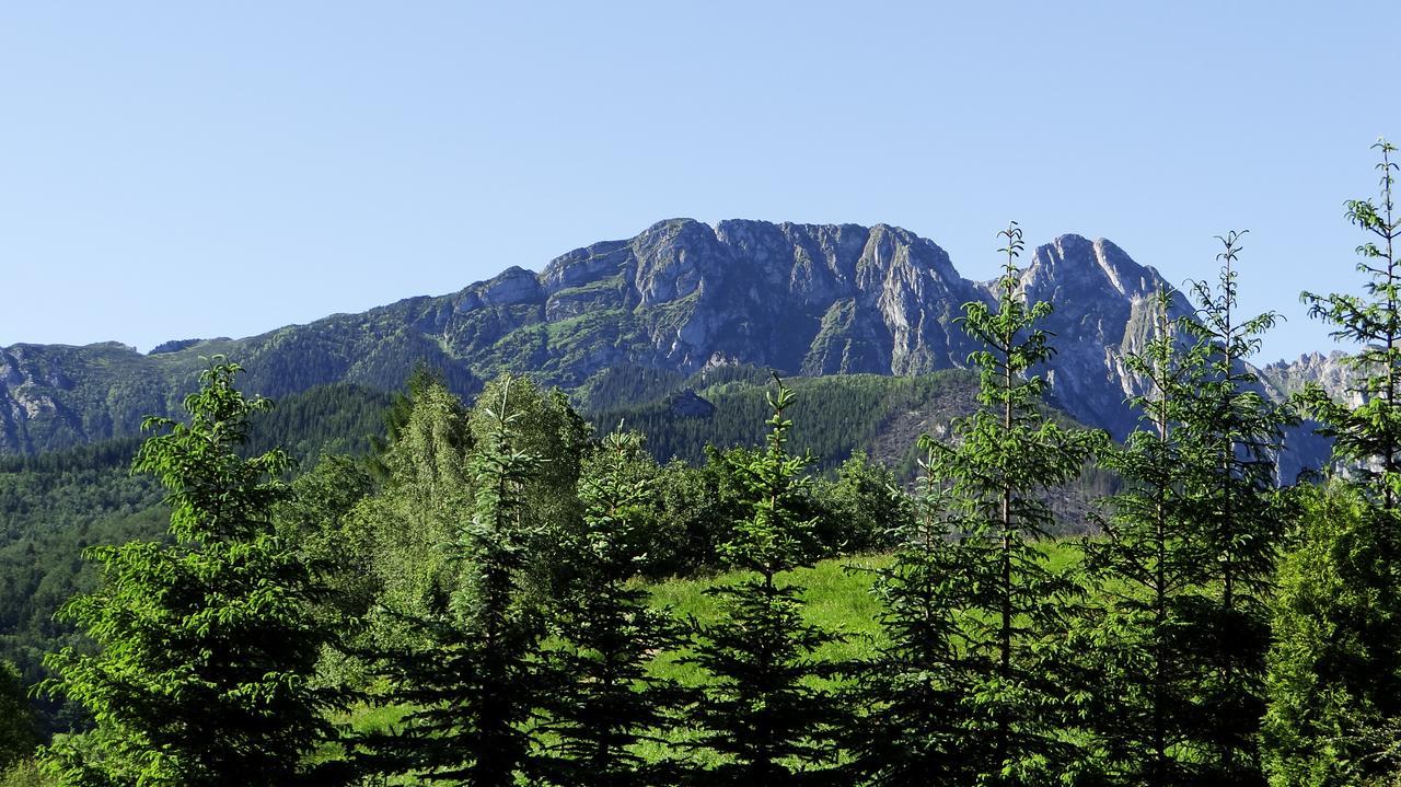 Apartament Promyk Pod Lipkami Apartzakop Zakopane Esterno foto